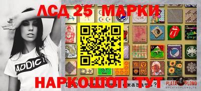 СК Ярославль