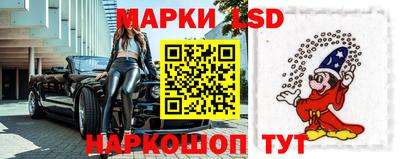 СК Ярославль