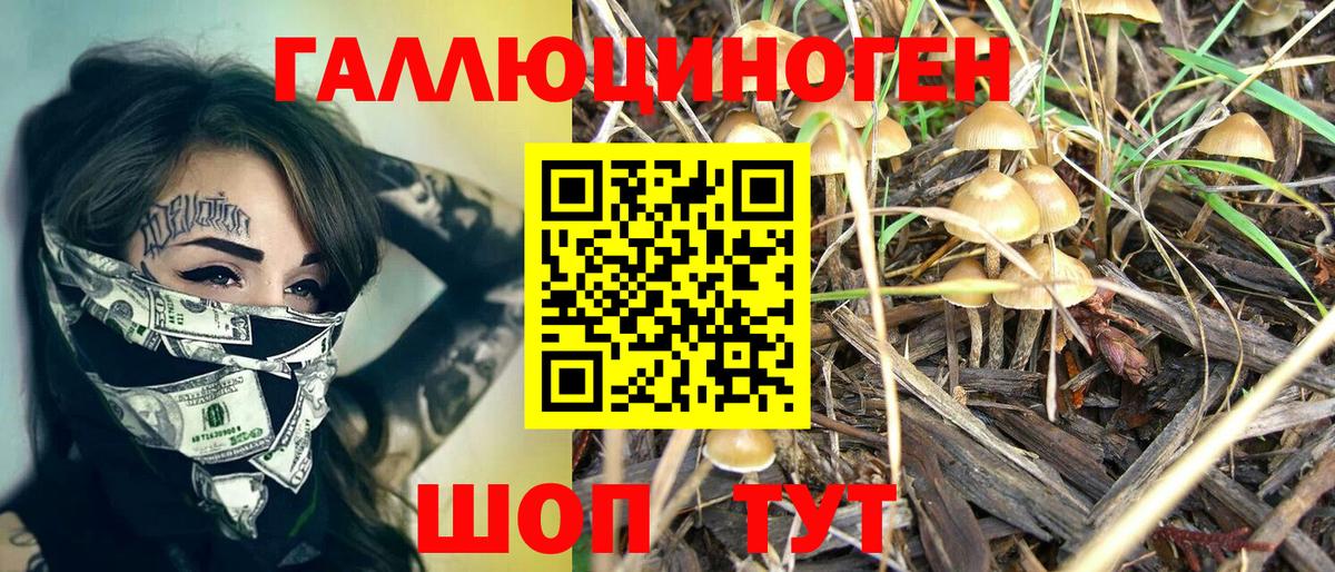 Алушта  Псилоцибиновые грибы Magic Shrooms  Вход с VPN 