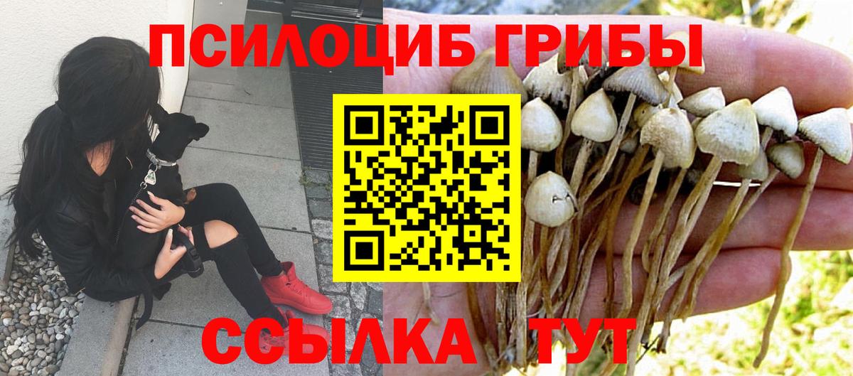 Псилоцибиновые грибы ЛСД Алушта